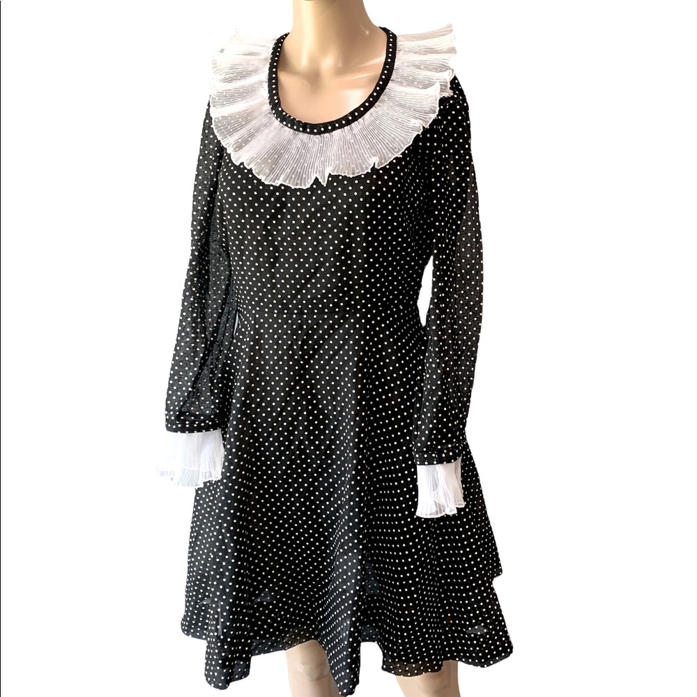 Neusteters Denver vintage chiffon polka dot Wednesday fit n flare dress